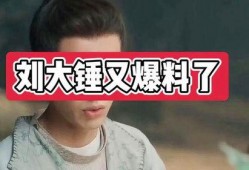 刘大锤爆料杨紫视频,揭秘明星幕后生活片段